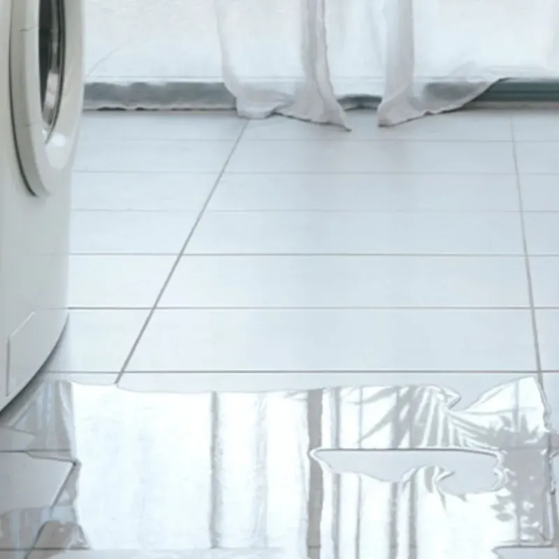 Appliance Leak Cleanup in Craig County, VA