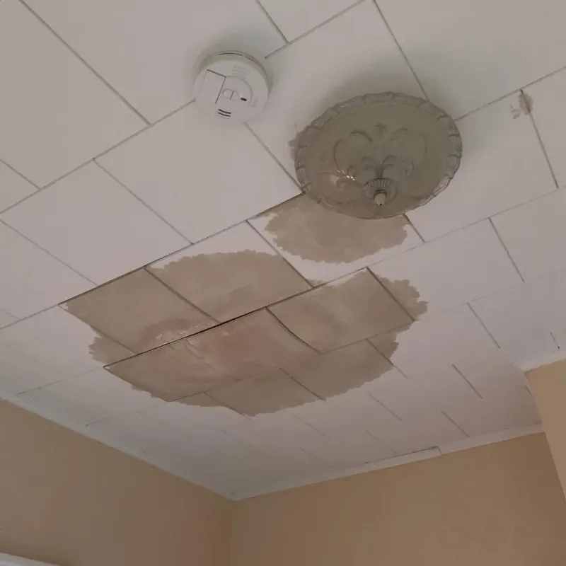 Ceiling Water Damage Repair in Craig County, VA