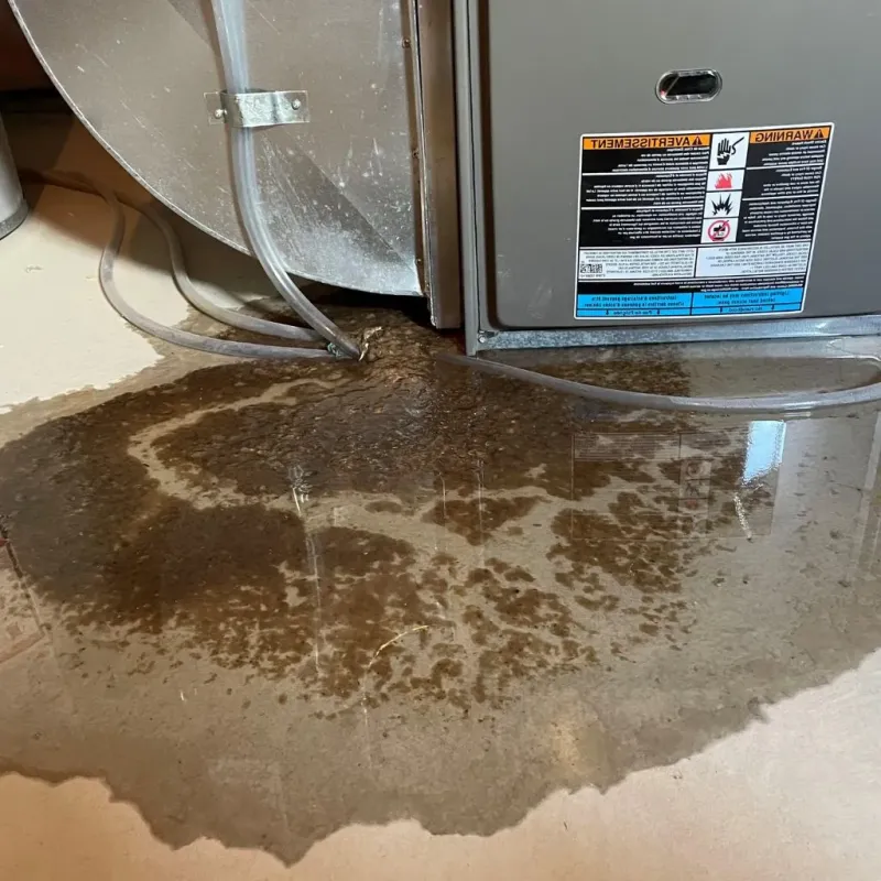 Pipe Burst and Leak Restoration in Craig County, VA