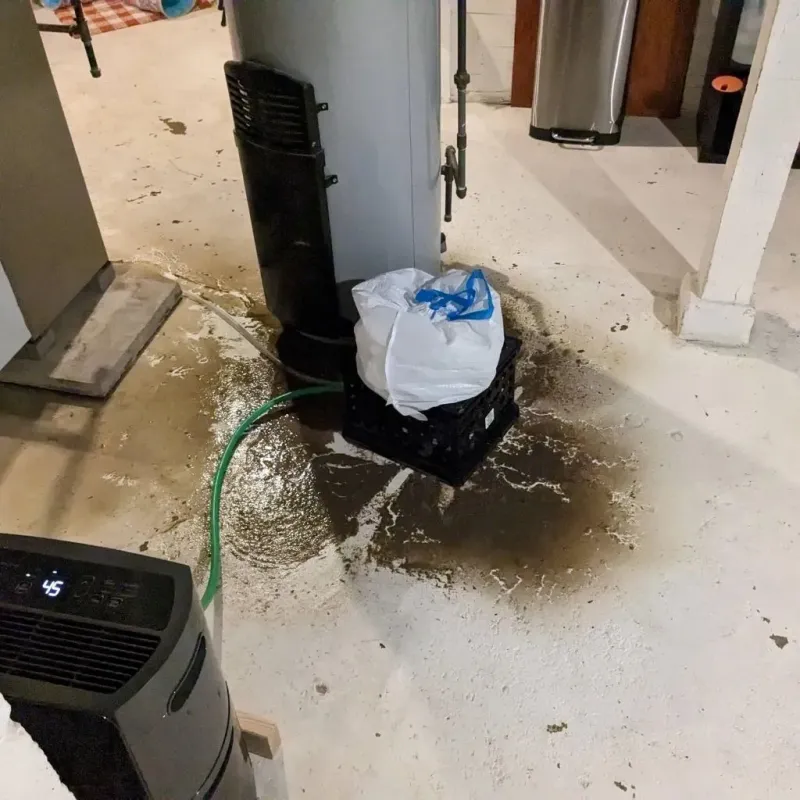 Sewage Backup Cleanup Service in Craig County, VA